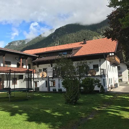 Pony-Ziegen-Hasen-Ranch Bichlbach Apartment Ngoại thất bức ảnh