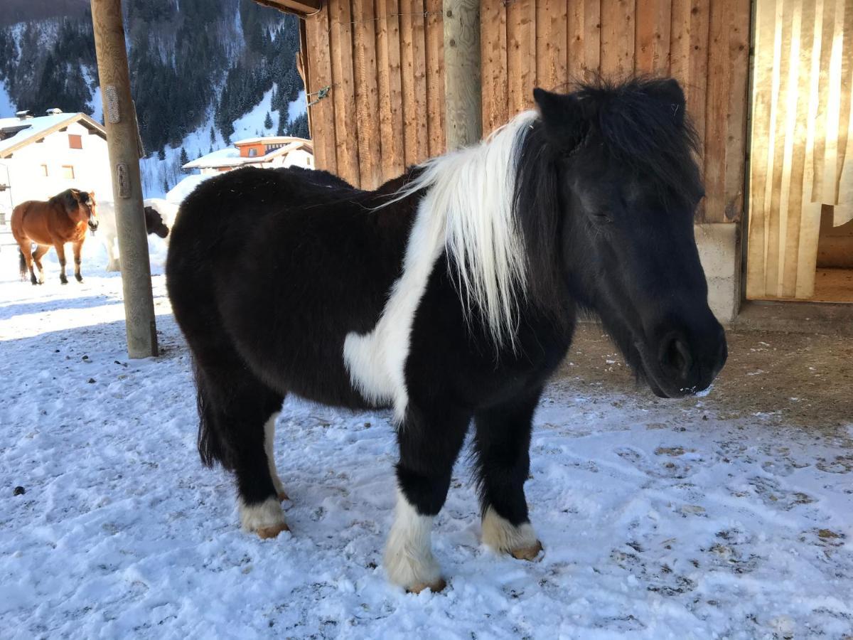 Pony-Ziegen-Hasen-Ranch Bichlbach Apartment Ngoại thất bức ảnh